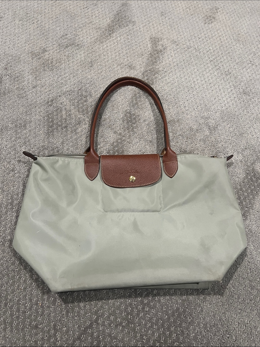 LONG CHAMP LIMITED EDITION COLOR Tote Bag in Light Sage Green with Brown Trim
